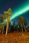 The way of Northern Lights