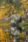 Colors of Lapland Fall