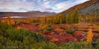 Jack London Lake  Fall Colors