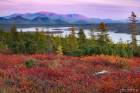 Jack London Lake - Kolyma River Area