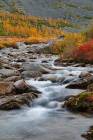 Mountain Stream