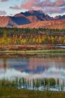 Insane Colors of Siberian Fall
