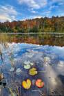 Adirondack Autumn Scenery