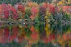 Autumn Reflections Series