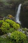 Ait Waterfall
