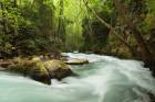 Hermon Stream