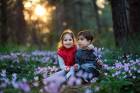 Among Blooming Cyclamens