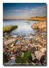 זיהום הסביבה - חוף פלמחים