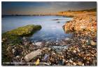זיהום הסביבה - חוף פלמחים