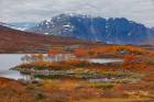 Norway Highland Fall Scene