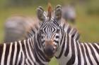 Tanzania