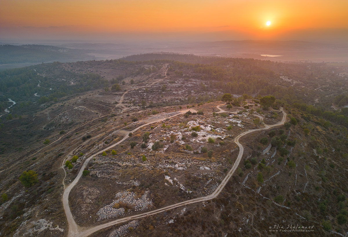 Khirbet Akeed