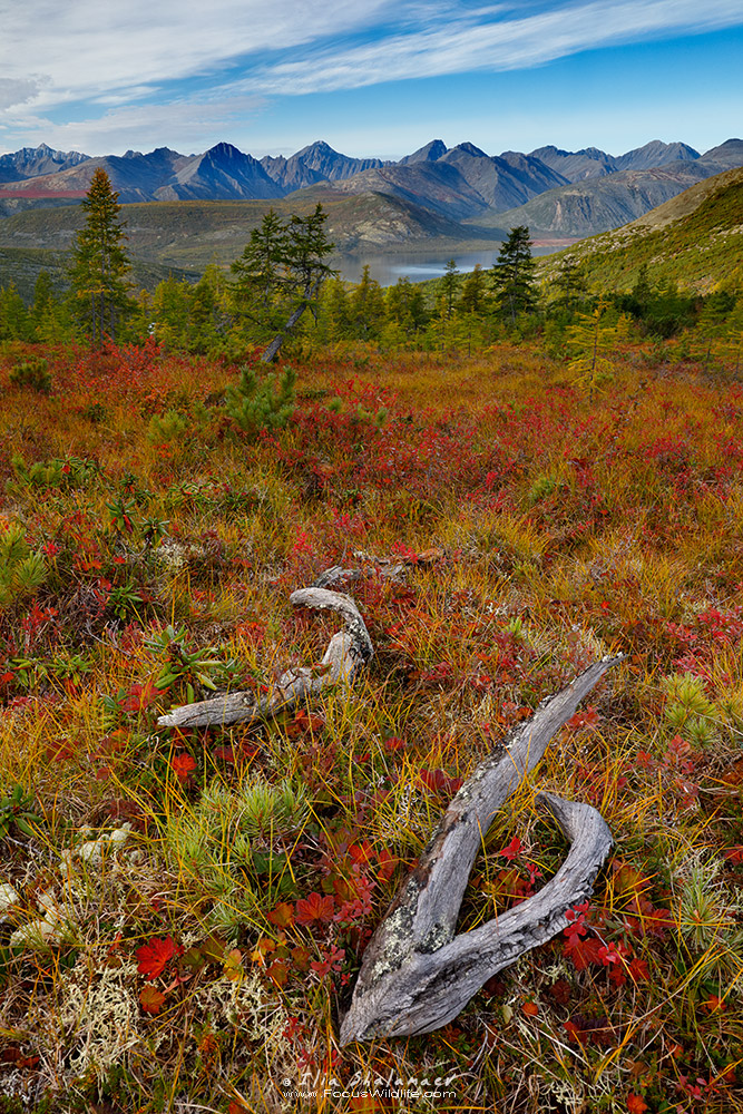  High Plateau in Jack London Lake Area