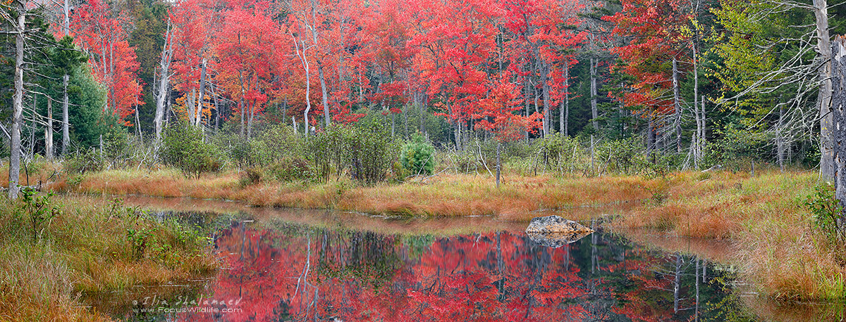 Adirondack Autumn Panorama