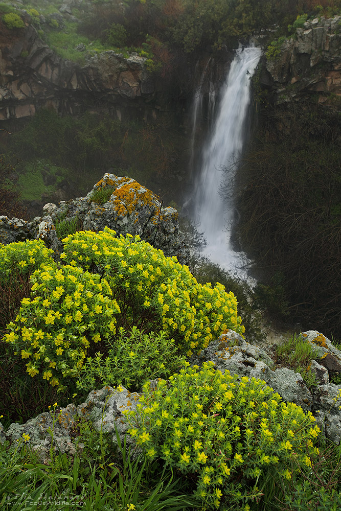 Ait Waterfall