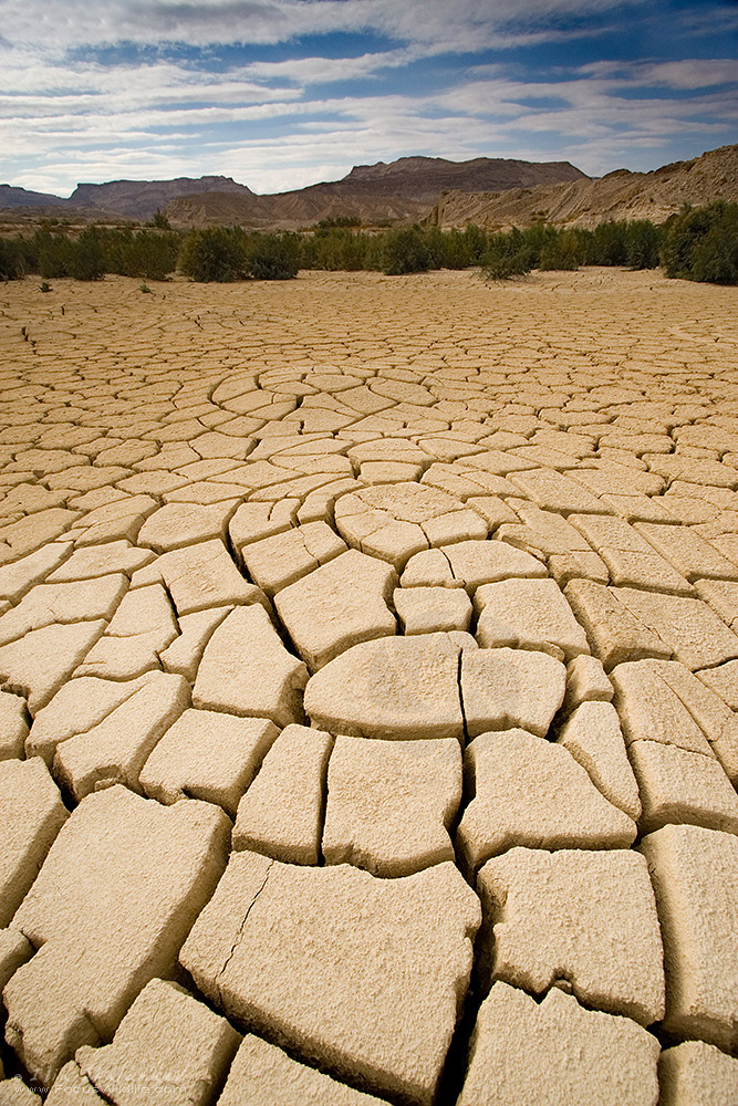 Dry Land