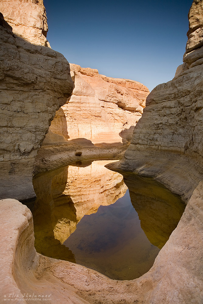 Desert Canyon Reflections