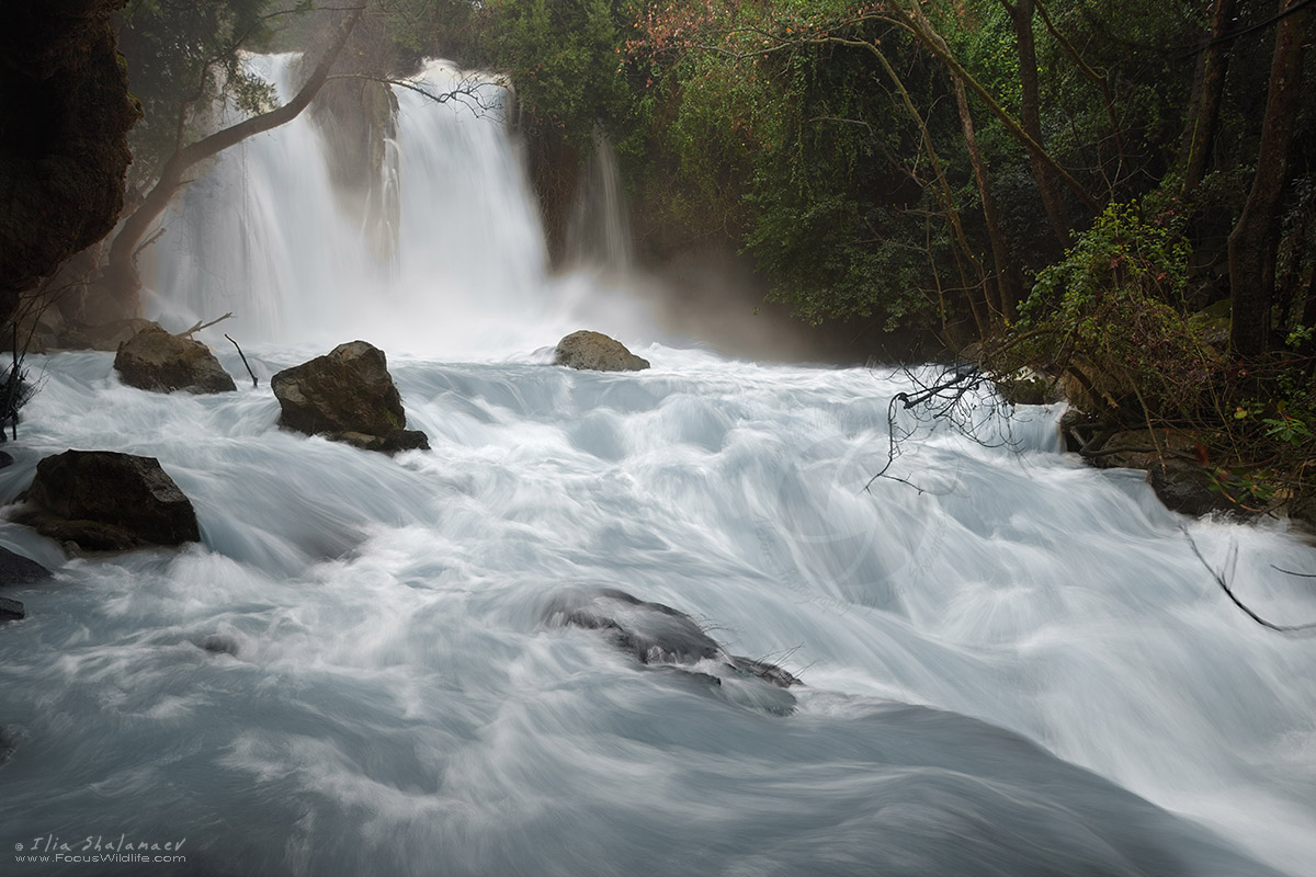 Hermon or Banias Waterfall