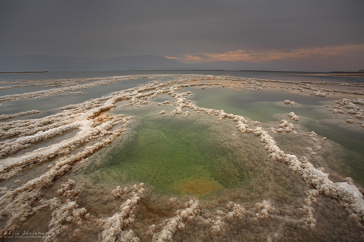 ים המלח - ג'קוזי של הטבע