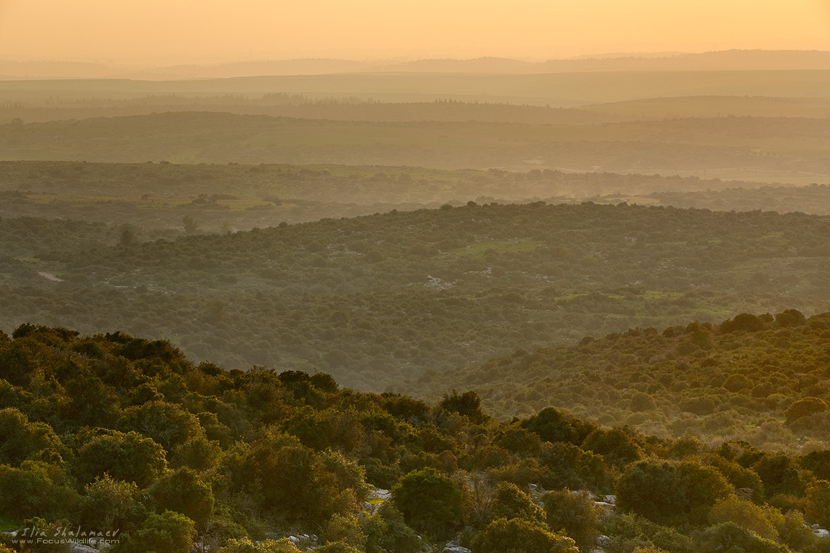 View from Judean Mountains