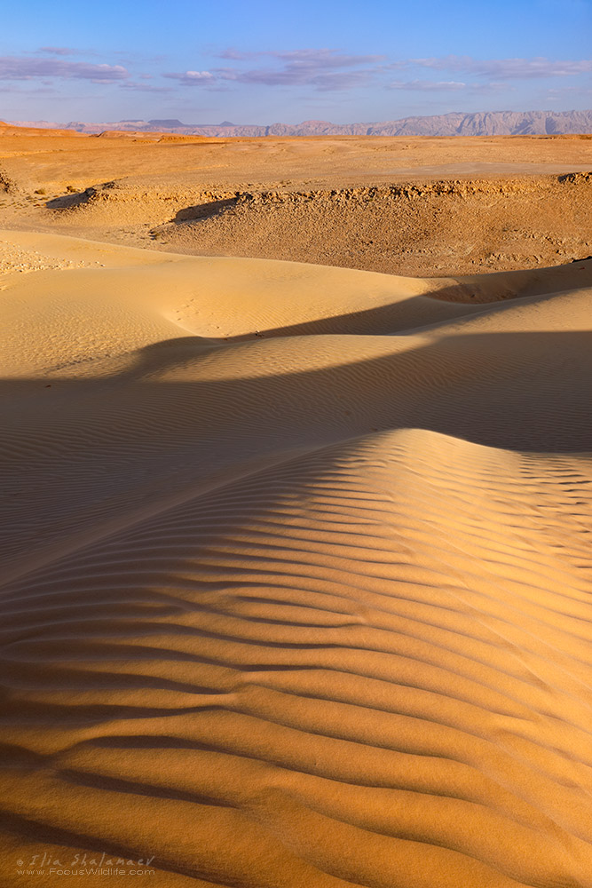 Dune and ripples