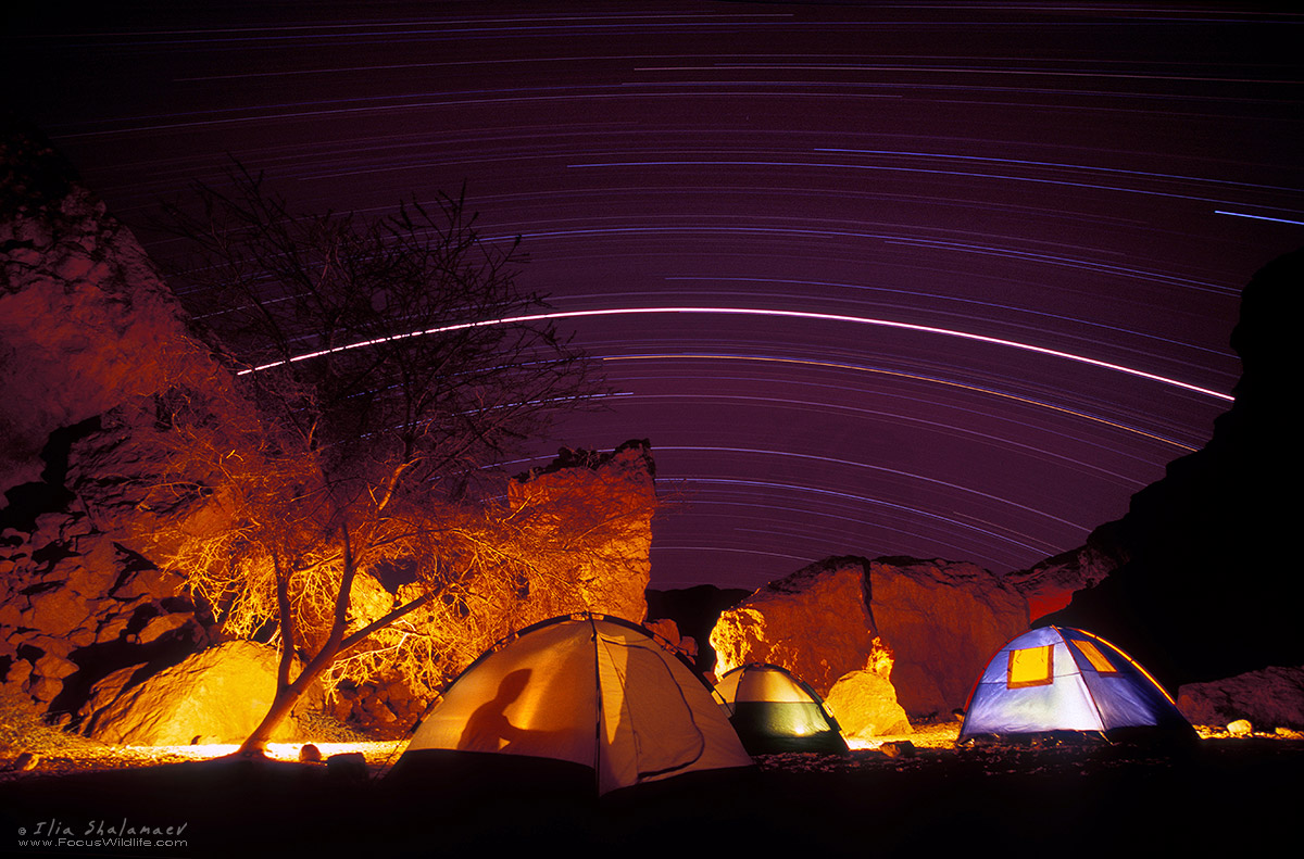 מחנה אוהלים תחת כוכבי מדבר