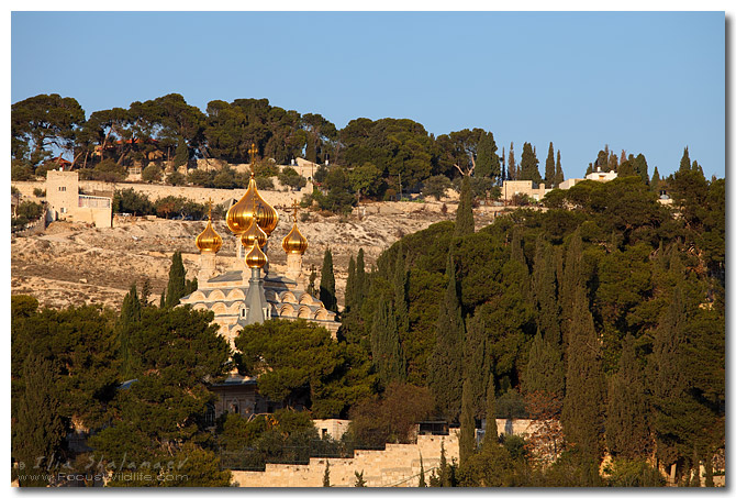 קנסיה רוסית הר הזיתים