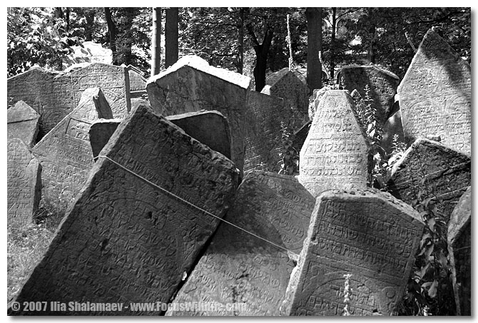בית קברות יהודי בפראג