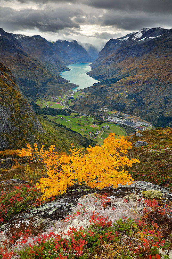 Norway Fall